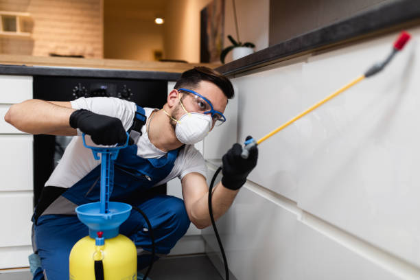 Professional Pest Control in Snow Hill, NC