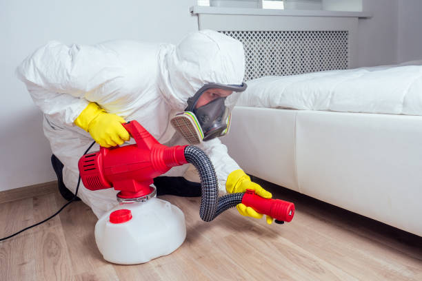 Best Flea Control Services  in Snow Hill, NC
