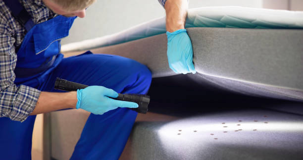 Best Mosquito Control Services  in Snow Hill, NC