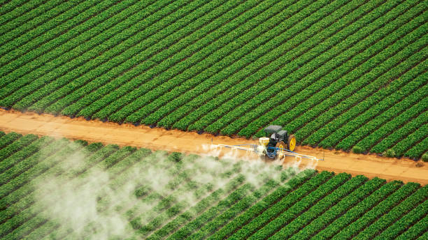 Best Ant Control Services  in Snow Hill, NC
